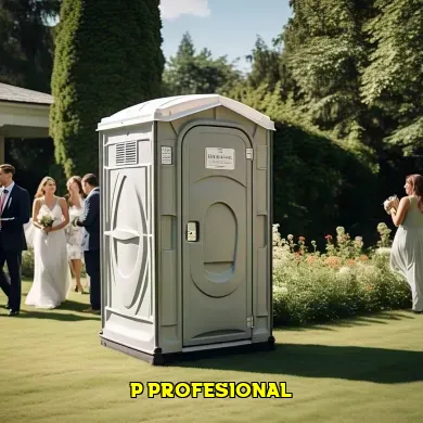 p profesional